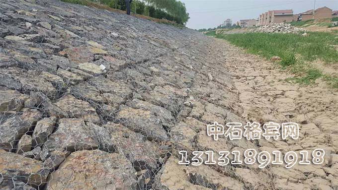 鍍高爾凡雷諾護墊 鍍高爾凡雷諾護墊